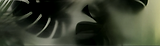 f5dcfd94794fed70225d1be87a9f7b45_edited_edited_edited_edited.png