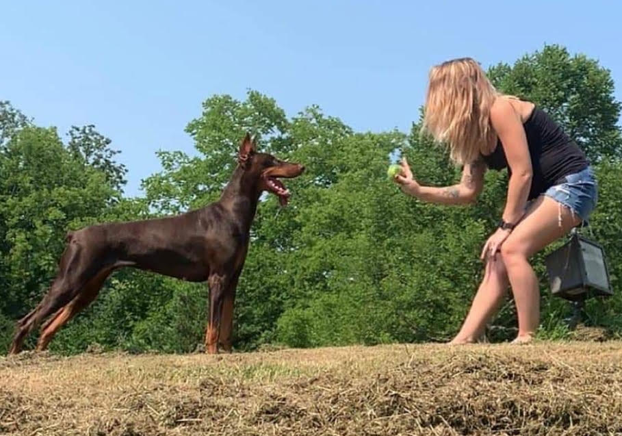 Katrice Charette with Sake — One Unit Canine client review