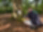 IMG_7111.jpeg