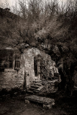 Abbaye Saint Hilaire