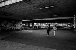 2017-05-27 Danube  SLOVAQUIE Bratislava-3311 nb (Copier) (Copier)