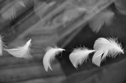 Gdansk église de Sainte Marie