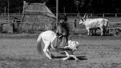 2017-05-29 Danube HONGRIE Puszta-3541 nb (Copier) (Copier)