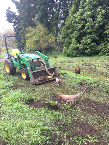 Stump Removal - Optimizing Production
