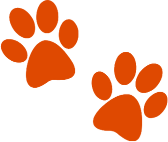 Home (15).png