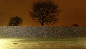 flat space, yoker (low-sodium)