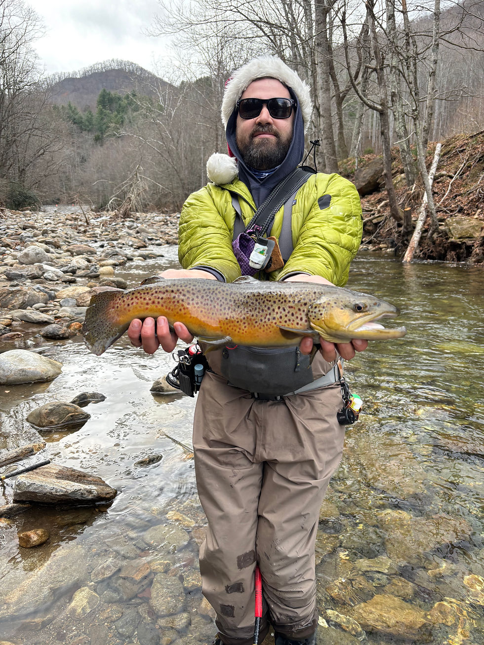 26 " Brown Trout Caught on Ball Jig Rig in Western North Caroloina, NC Fly Fishing, Guided Trip,  Visit Asheville