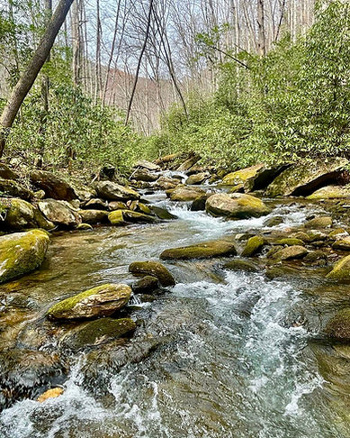 Photo1.jpg
