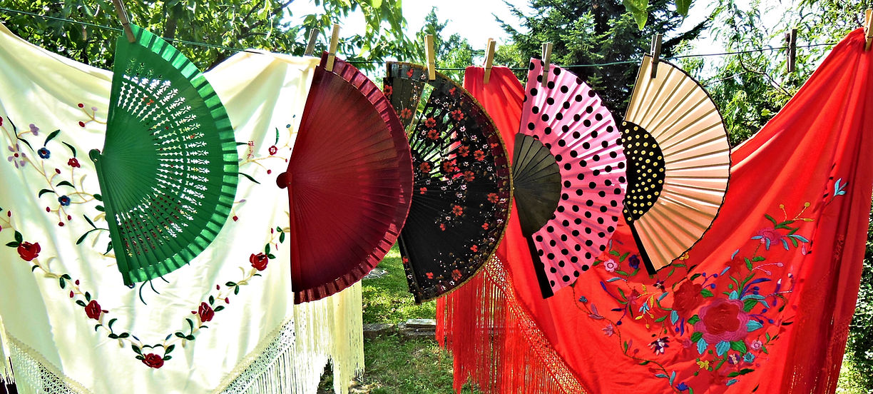 Passion Flamenco Mâcon 