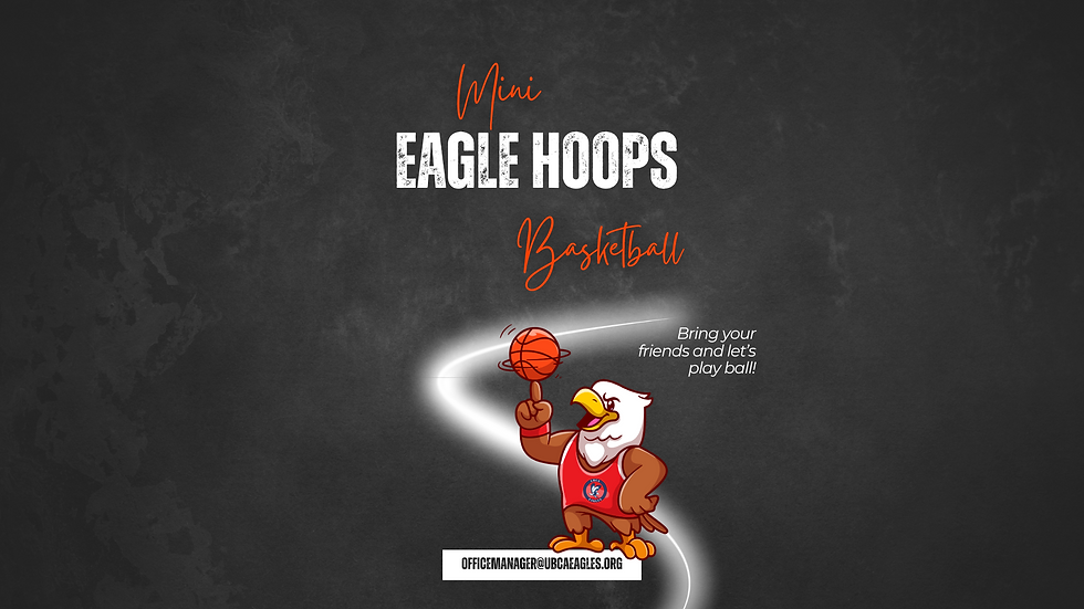 Mini Eagle Hoops Basketball