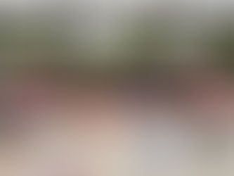 Bem-vindos ao blog do Unicorns Brazil!