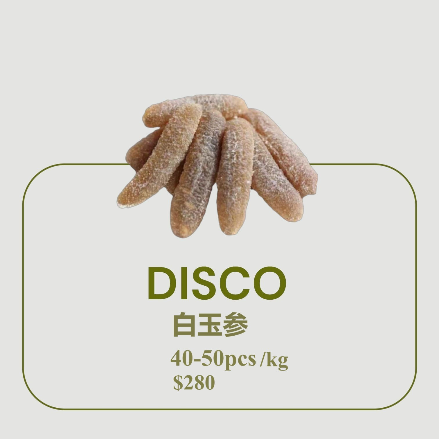 Disco 白玉参 40-50pcs