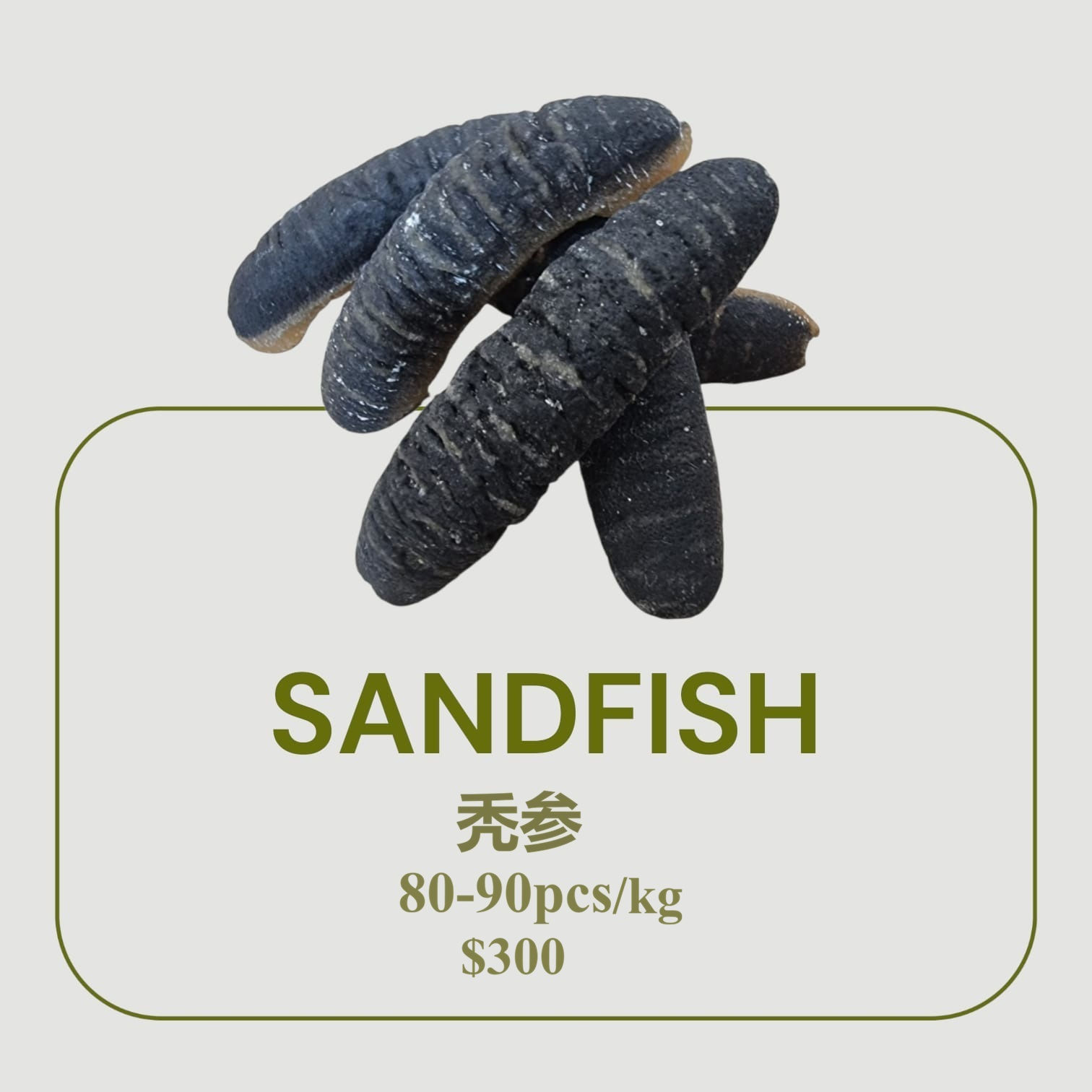 Sandfish 秃参 (80-90pcs/kg)