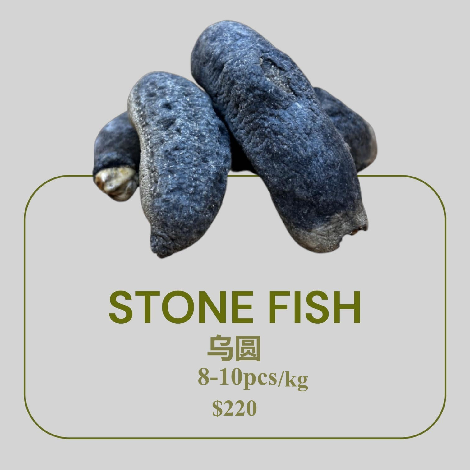 Stone Fish 乌圆 (8-10pcs/kg)