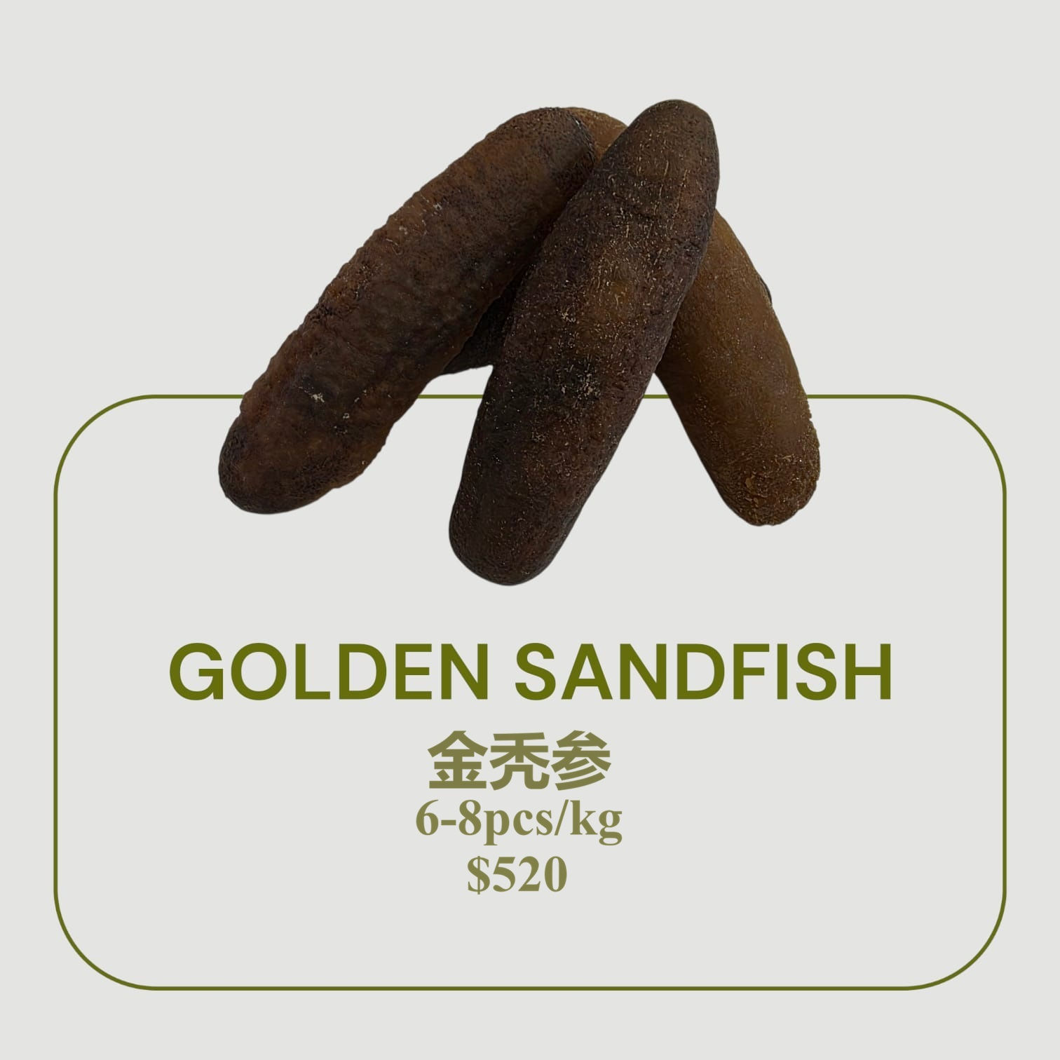 Golden Sandfish 金秃参 (6-8pcs/kg)