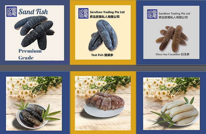 Premium Grade Sea Cucumber