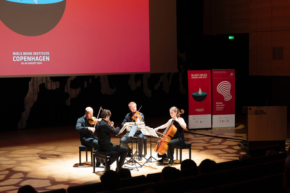 Dronningesalen, Den Sorte Diamant