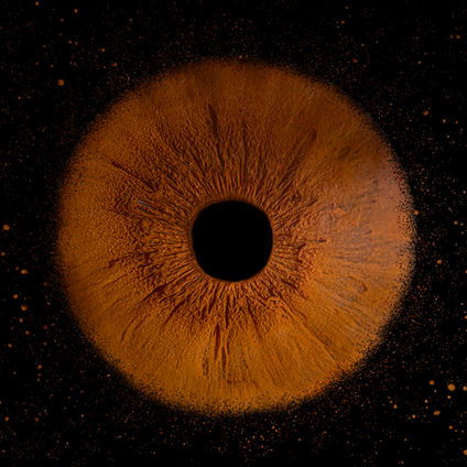 Photo d'un iris marron