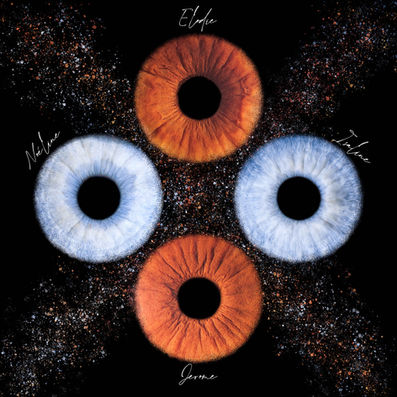 Photos d'une séance photo d'iris de 4 personnes disposée en croix. 2 diagonales de poussières d'étoile aux couleurs des iris