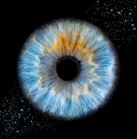 Photo d'un iris bleu sur un fond noir avec des poussières bleu. La photo à été réalisé à domicile lors du séance photo iris
