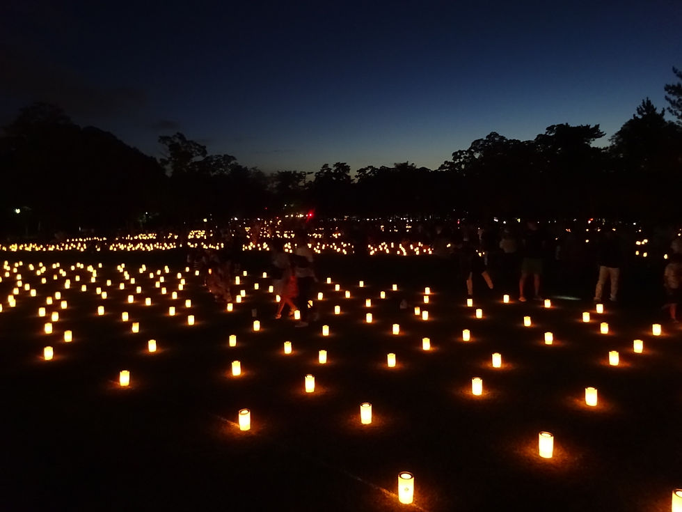 浮雲園地ライトアップ