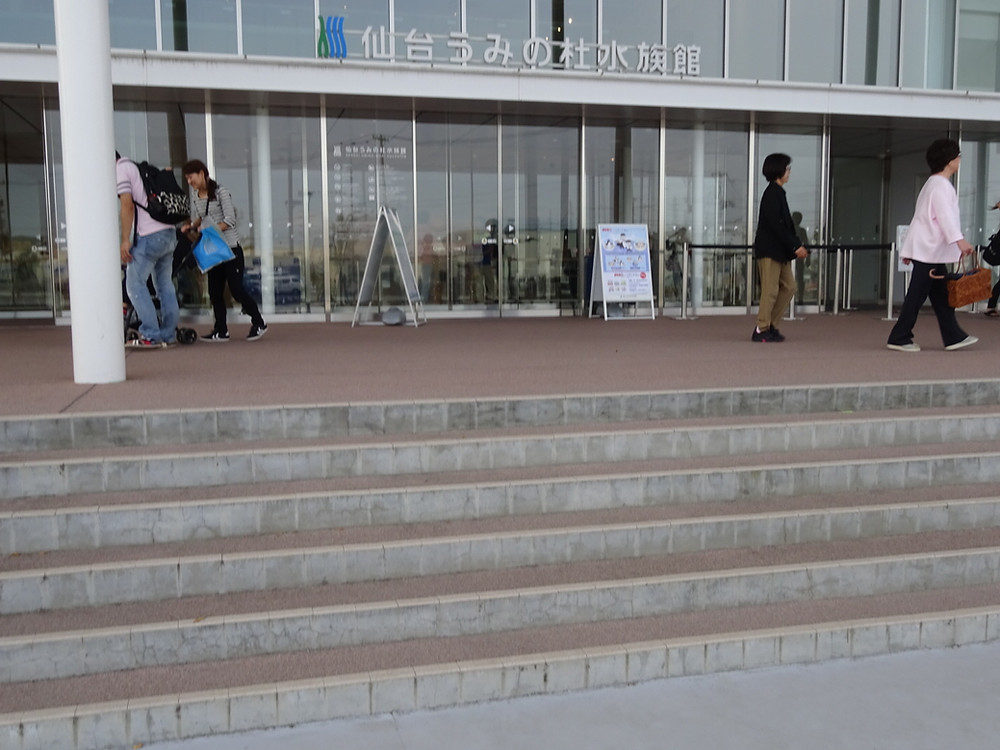 仙台うみの杜水族館