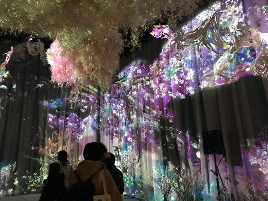 【日本一早いお花見FLOWERS by NAKED 2018 輪舞曲』】