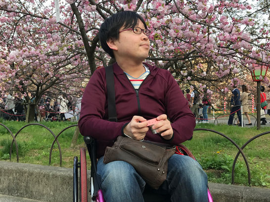 【車いすで造幣局桜の通り抜け〜お昼間〜】