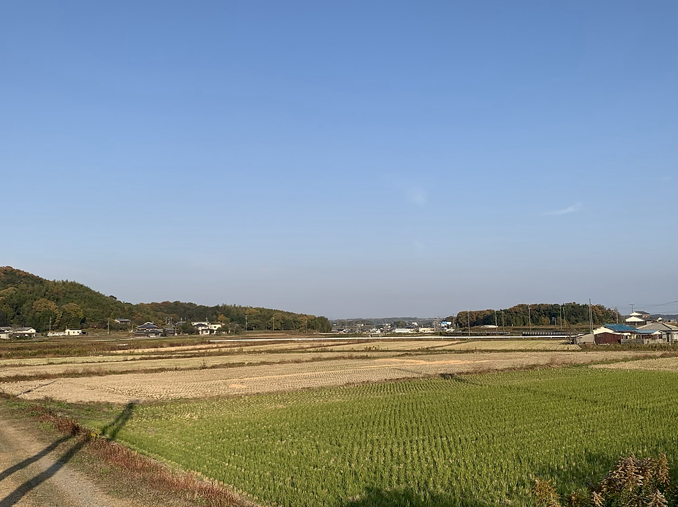 返礼品生産地の風景