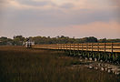PAWLEYS ISLAND-5.jpg