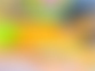 SOUVENIRS DU FESTIVAL LES MOTS PASSANTS 2026