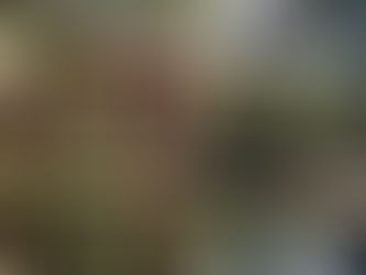 10 Jahre - eine Erfolgsgeschichte