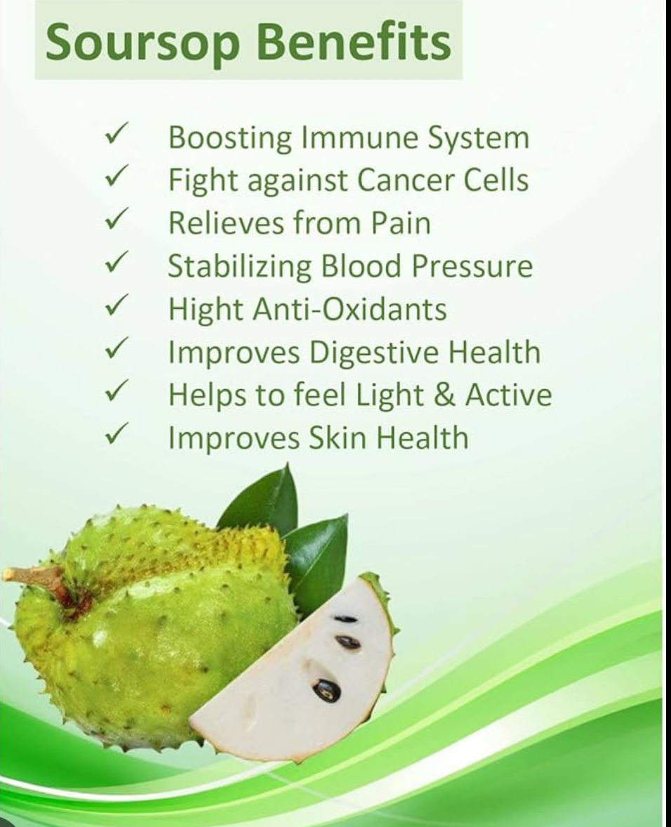 Thumbnail: SOURSOP LEAF TEA