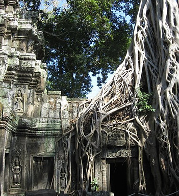 Background image tomb raider cambodia.jp