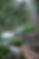 Background image waterfall Joffre lakes.jpg