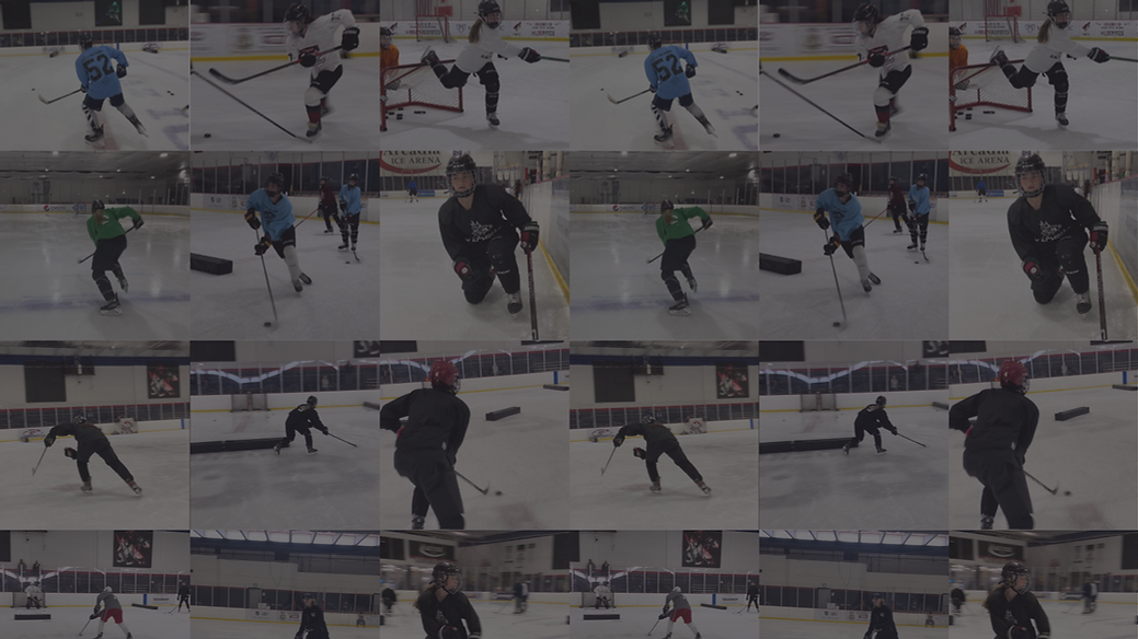 Untitled design-3.png