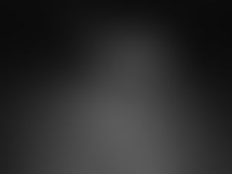 Une nuit magique au Havre de Chaux : quand une biche et son faon viennent à votre rencontre