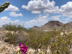 Big Bend: One of the Most Underrated US National Parks