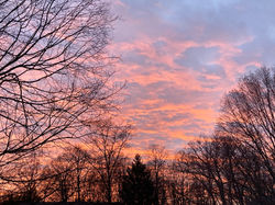 Sunset over the trees