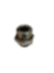 sai1 (7).png