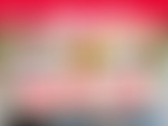 「宅男女神」葉蒨文接受新城《開心大派對》訪問參加戀愛真人騷節目 對象有醫生 律師 香港運動員公開唔鍾意富二代