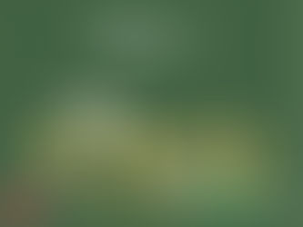 崇光Freshmart呈獻「端午飄粽香」經典及特色應節美饌喜迎端午佳節