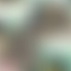 TXT在香港:爲粉絲打造的特別限定店體驗