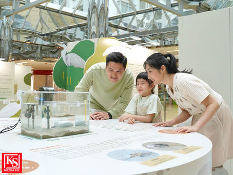 香港海洋公園保育基金馬蹄蟹及本地淡水龜社區教育展覽今天揭幕太古城中心舉辦多元互動體驗展覽 現場展出活體幼年馬蹄蟹