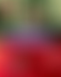 婁峻碩「RECHARGE」Mini Tour 香港站近距離為粉絲充電