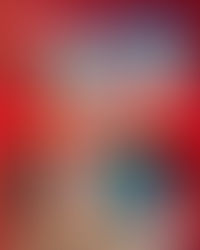 海洋公園超萌動物大使搶先拆馬年禮物