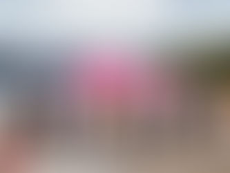 美高梅以夏日盛事激活媽閣塘片區 打造步行遊樂的生活潮玩據點落地《一起嗨·FUN夏》文旅消費系列活動 聯動青企創意共建時尚活力片區