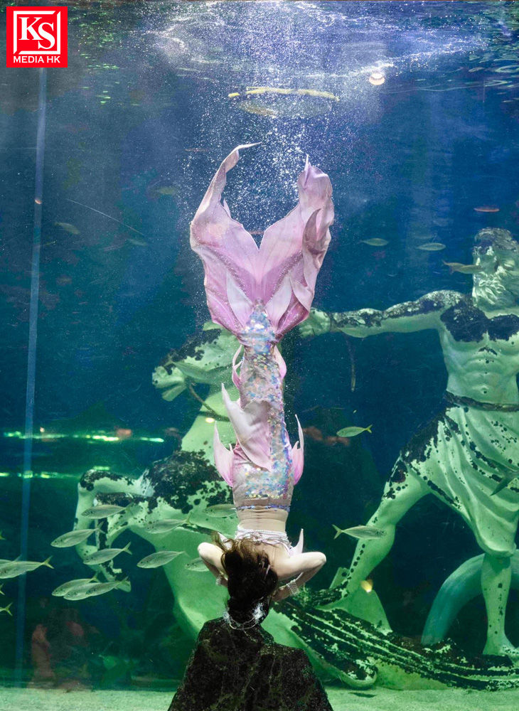 【即時亮點】香港唯一代表 練樂儀Alina 征戰韓國水族館 為比賽練到嘔吐練樂儀 Alina 岀征韓國人魚比賽辛苦到嘔