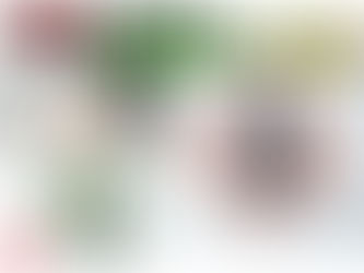 亞洲唯一連續五度獲得「對世界最好」環境大獎在台「天然有機」、「純淨」及「純素」第一聯想保養品牌 獨家進駐 Sephora「綠藤生機」帶來與十萬名消費者共創的獨特「荷包蛋保養法」