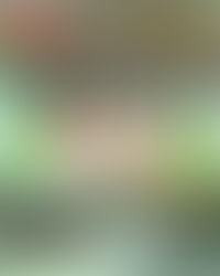 「新城知訊台」主辦   「理文商業中心」冠名贊助《「新城勁爆頒獎禮2025」The HelloWin Party》逾90單位歌手扮鬼扮馬現身全場迫爆為12.27《新城勁爆頒獎禮2025》揭開序幕